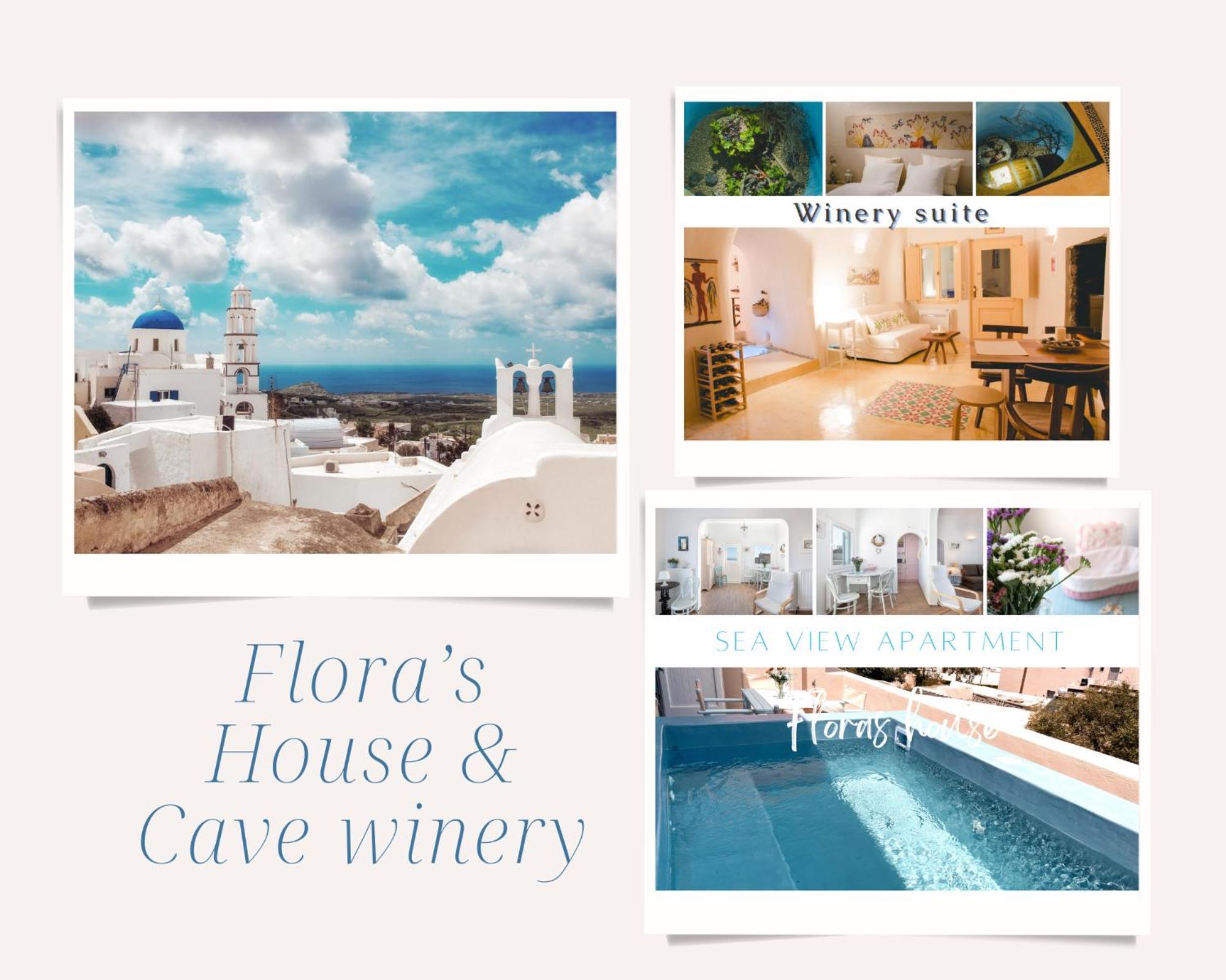 Flora'S House & Cave Winery Βίλα Πύργος Εξωτερικό φωτογραφία