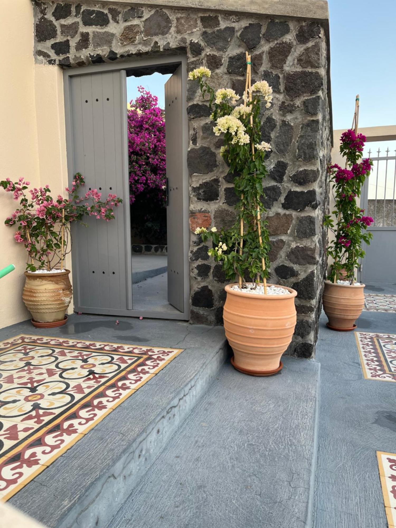 Flora'S House & Cave Winery Βίλα Πύργος Εξωτερικό φωτογραφία